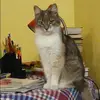 Отзыв от Оля Ларина
